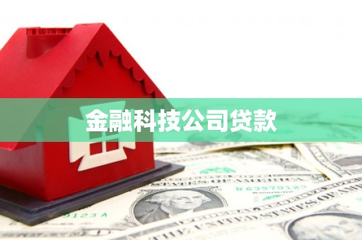 涟源金融科技公司贷款