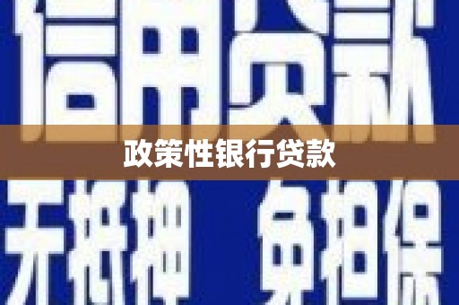 涟源政策性银行贷款