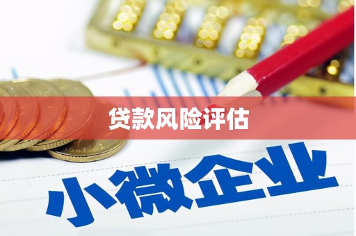 涟源贷款风险评估