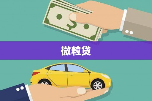 涟源微粒贷