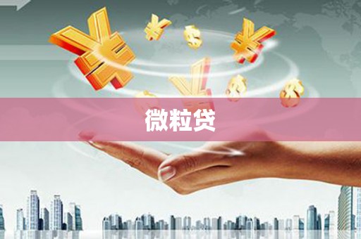 涟源微粒贷