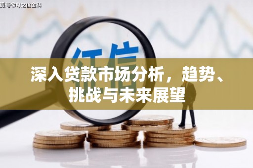 涟源深入贷款市场分析，趋势、挑战与未来展望