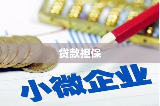 涟源贷款担保