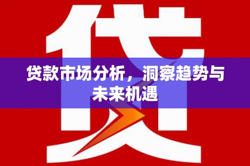 涟源贷款市场分析，洞察趋势与未来机遇