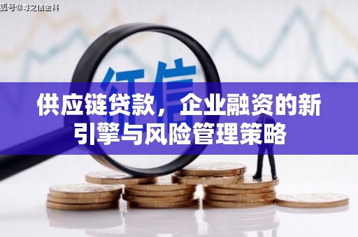 涟源供应链贷款，企业融资的新引擎与风险管理策略