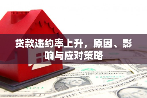 涟源贷款违约率上升，原因、影响与应对策略