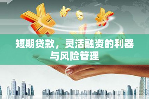 涟源短期贷款，灵活融资的利器与风险管理