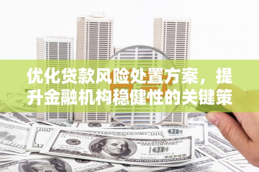 涟源优化贷款风险处置方案，提升金融机构稳健性的关键策略