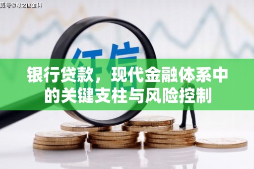 涟源银行贷款，现代金融体系中的关键支柱与风险控制