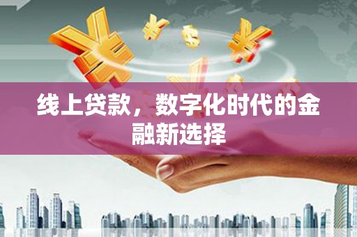 涟源线上贷款，数字化时代的金融新选择