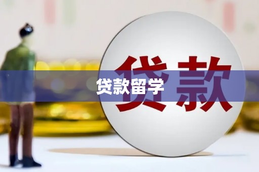 涟源贷款留学