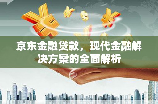 涟源京东金融贷款，现代金融解决方案的全面解析