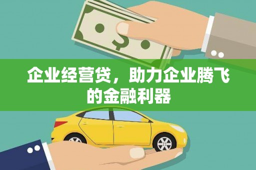 涟源企业经营贷，助力企业腾飞的金融利器