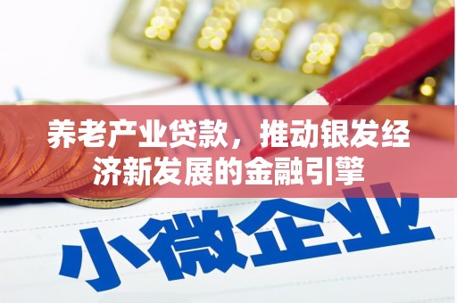 涟源养老产业贷款，推动银发经济新发展的金融引擎