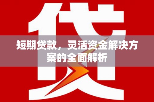涟源短期贷款，灵活资金解决方案的全面解析