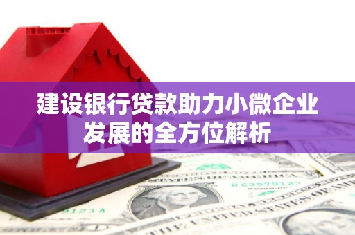 涟源建设银行贷款助力小微企业发展的全方位解析
