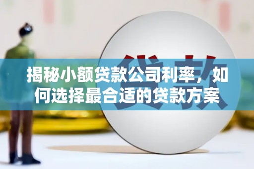 涟源揭秘小额贷款公司利率，如何选择最合适的贷款方案