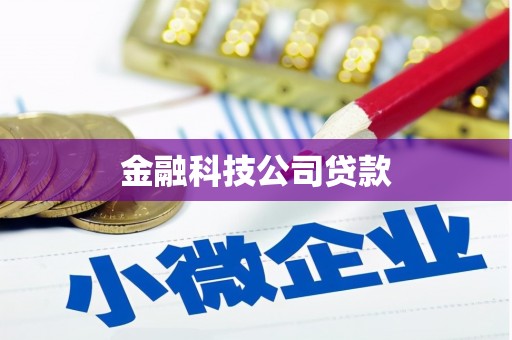 涟源金融科技公司贷款