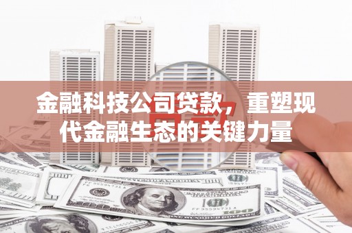 涟源金融科技公司贷款，重塑现代金融生态的关键力量