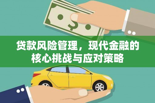 涟源贷款风险管理，现代金融的核心挑战与应对策略