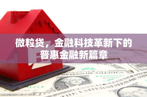 涟源微粒贷，金融科技革新下的普惠金融新篇章