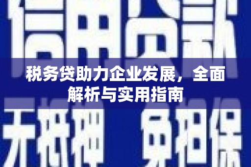 涟源税务贷助力企业发展，全面解析与实用指南