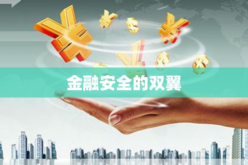 涟源金融安全的双翼