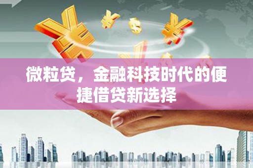涟源微粒贷，金融科技时代的便捷借贷新选择