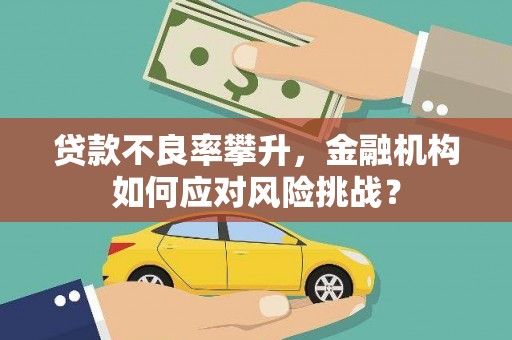 涟源贷款不良率攀升，金融机构如何应对风险挑战？