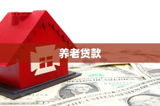 涟源养老贷款