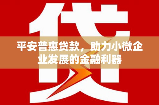 涟源平安普惠贷款，助力小微企业发展的金融利器