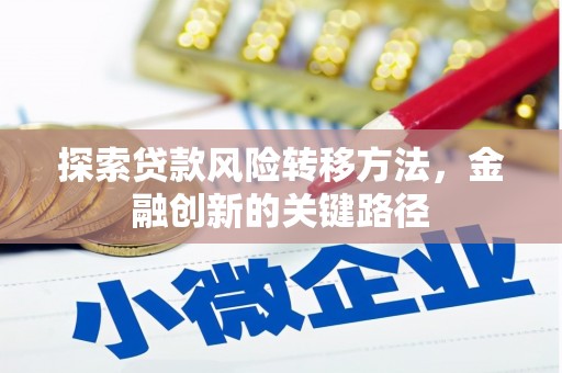涟源探索贷款风险转移方法，金融创新的关键路径