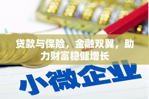 涟源贷款与保险，金融双翼，助力财富稳健增长