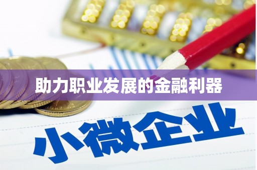 涟源助力职业发展的金融利器