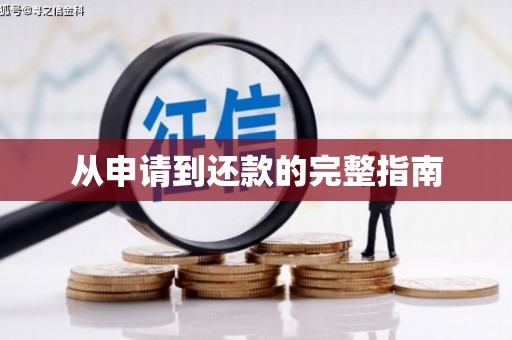 涟源从申请到还款的完整指南